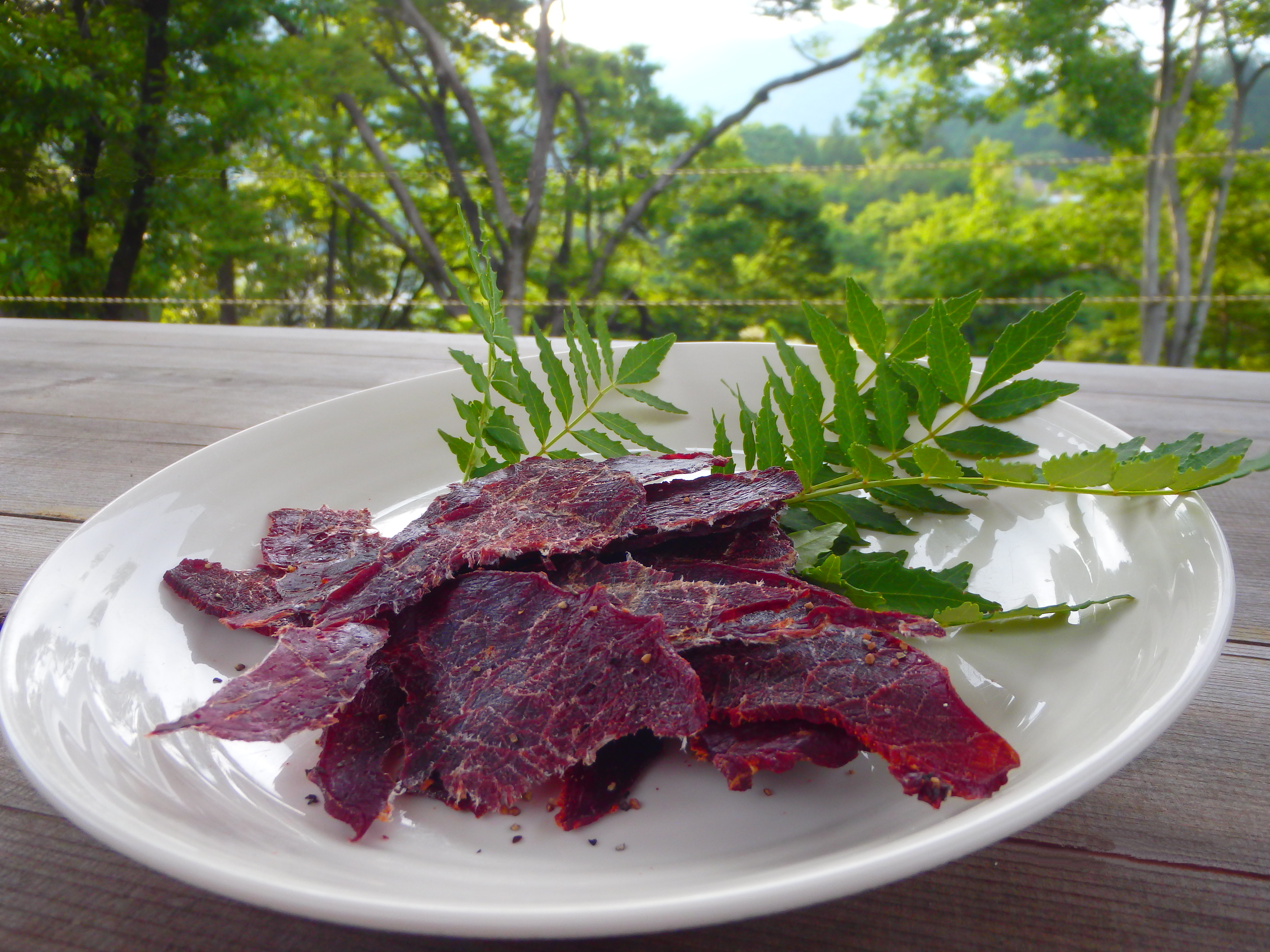 岐阜県産 日本鹿の干し肉 里山ジビエ